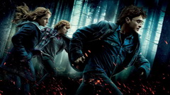 Гарри Поттер и Дары Смерти: Часть 1 (2010)